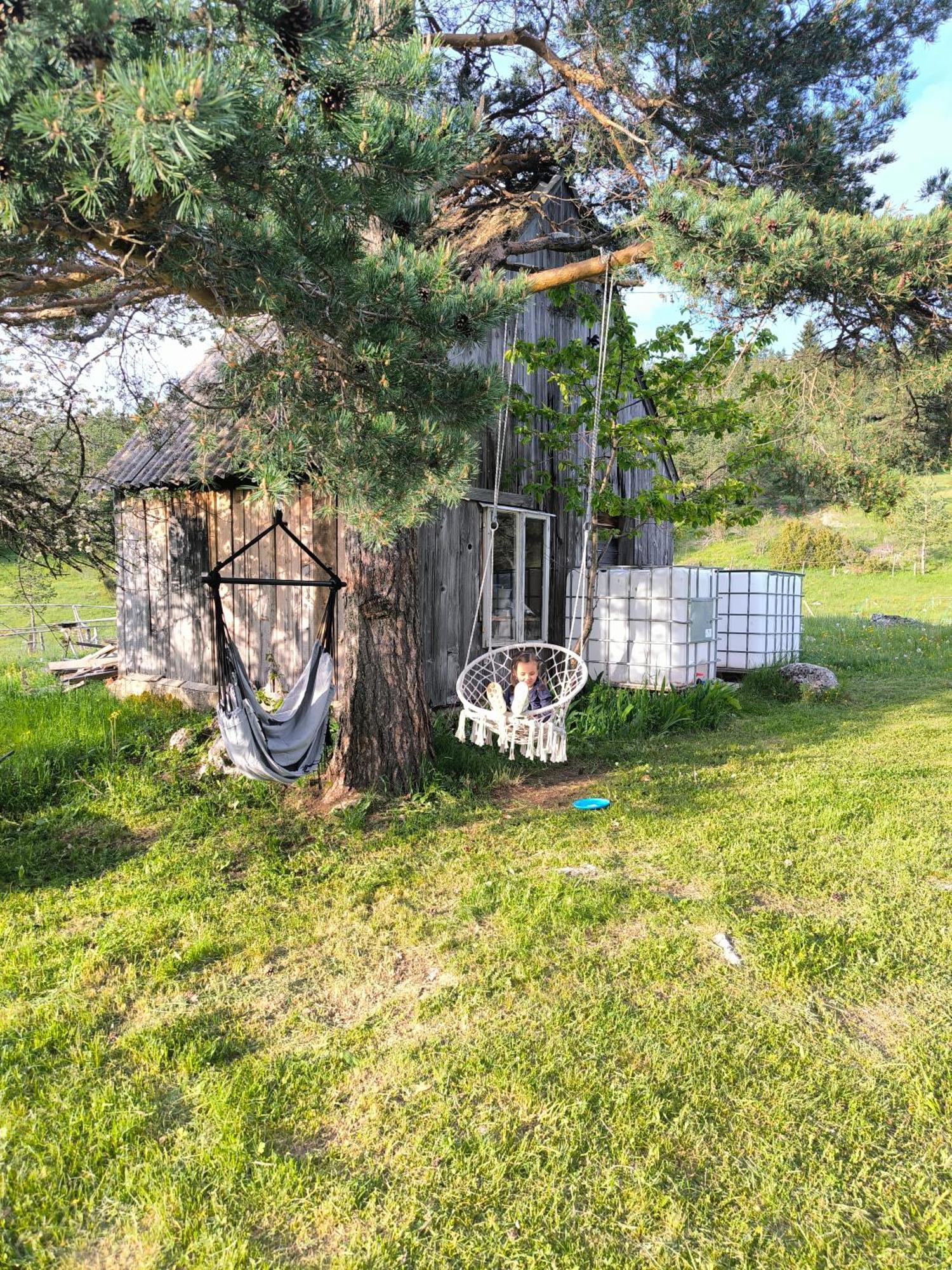 Vukov Konak - Wolf'S Lodge Žabljak Exterior foto